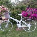 나의 정원 이미지