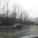 독도게찜 이미지