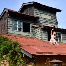 완산-143 이미지