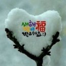 상우사