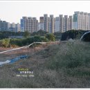 평택용죽연결도로 이미지