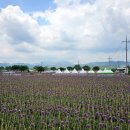 부흥 마을회관 이미지