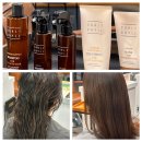 오산대학 앞 | 오산대역미용실 아셀헤어에서 커리쉴 클리닉 복구케어 받은 후기