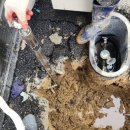 여주-0482 이미지