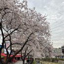 나도한번구워봐