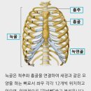 늑골골절 답이 없다고 하지만, 복근운동만이 심신의 위로!^^ 이미지