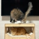 스페이스뮤