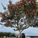 별비치하우스 이미지