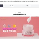 에이치앤글로벌