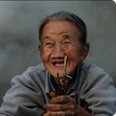 보현 이미지
