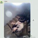 플로이츠 - 중구 광복로43번길 16 | SORAN PERFECTDAY12 1주 1회차(260703) 후기