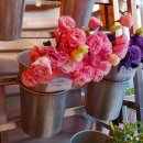 하나로꽃집 이미지