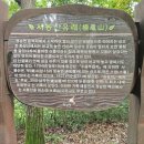 서봉산산림욕장 이미지