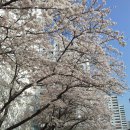 연담공원 이미지