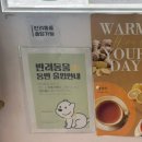 덕진-107 | 전주혁신도시빵집 카페쇼콜라빌리지 혁신점
