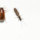 등화주유소 이미지