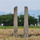 경주 분황사&황룡사지 메밀밭(2023. 6. 14) 이미지