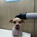 이성준동물병원 이미지