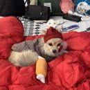 대추나무산장 이미지