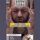 본어게인점핑다이어트 이미지