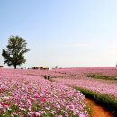 정수 팜랜드 이미지