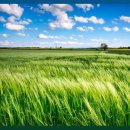 산들바람 이미지