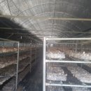 안말농장 이미지