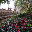 백운동정원 이미지