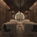 팬스타미라클 이미지