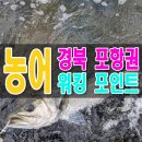 모텔골든타임 | 경북 포항 도보 워킹 루어 원투 농어낚시 잘잡히는 포인트