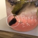 일 안하니까 포스팅 할 게 바로 생기네 (동명동 대풍쪽갈비, 데오나 day off night)