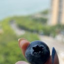 통증 예방 치료 기체조 | 연골연화증 치료 후 통증 재발 막는 관리 방법 2주 후기