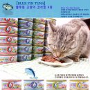 반갑다(반려견이 갑이다) | [산시아코리아]기호성 갑! 블루핀 간식캔 참치 &amp; 시라수 체험 후기입니다.