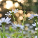 하느님의 궁극적 승리 ＜God’s final victory＞ 말씀의 힘, 기도의 힘, 믿음의 힘 이미지