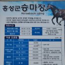 홍성군 승마장 이미지