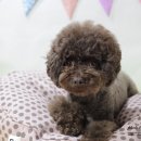 꿈나라 - 광명시 모세로 8 | 꿈나라