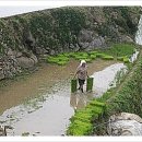 유람선건어물 - 사천시 유람선길 70 | 유람선건어물