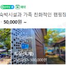 진틀펜션캠핑장 이미지