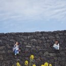 별방진 | 제주 동쪽 유채꽃 명소, 별방진 다녀온 후기