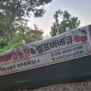 체리체험농장&셀프바베큐