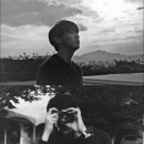 제 배경화면은 이미지