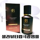 셀라뷰티랩 극광앰플 사용후기 피부 표현이 달라 보였던 앰플