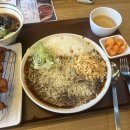 꼬모의 산책 이미지