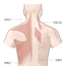 더블에스조명