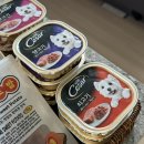 강아지삼촌 | 강아지 습식사료 습식캔 [ 시저캔 저칼로리 ] 시저강아지 후기