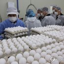 국영축산 이미지