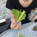 초봉농장 이미지