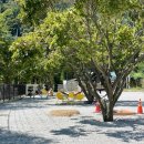 백운면 2200 | 충북 제천시 백운면 시골감성 + 덕동계곡 카페 - 카페덕동 (By. 맛간다람쥐)