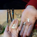 진평프라자 이미지