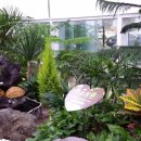 차량등록사업소 이미지